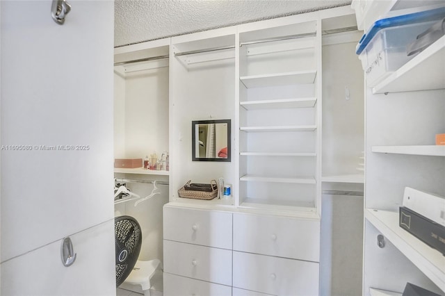 view of spacious closet