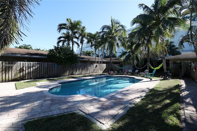 view of swimming pool with a patio area