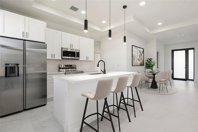 kitchen with sink, a kitchen island with sink, appliances with stainless steel finishes, and a tray ceiling