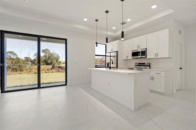 kitchen with a tray ceiling, a kitchen island with sink, white cabinetry, and stainless steel appliances