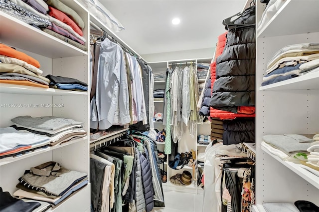 view of spacious closet