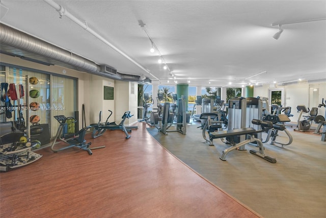 gym featuring hardwood / wood-style floors and rail lighting