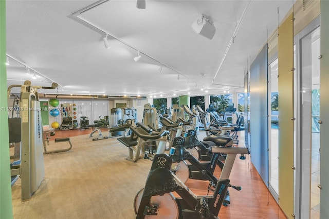 workout area featuring track lighting and light hardwood / wood-style floors