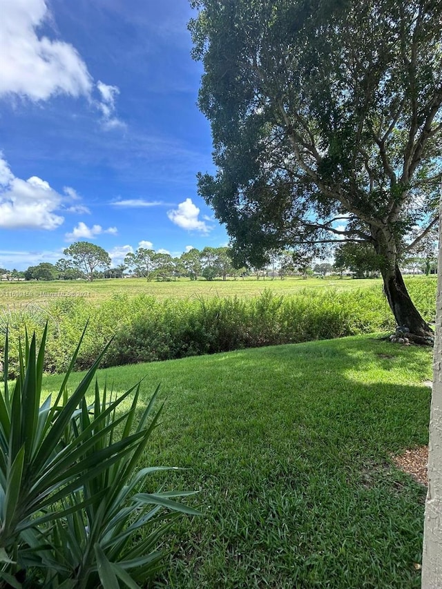 view of yard featuring a rural view