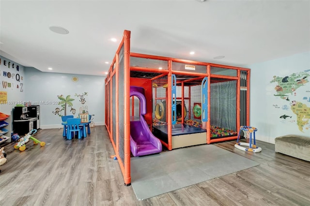 playroom with wood-type flooring