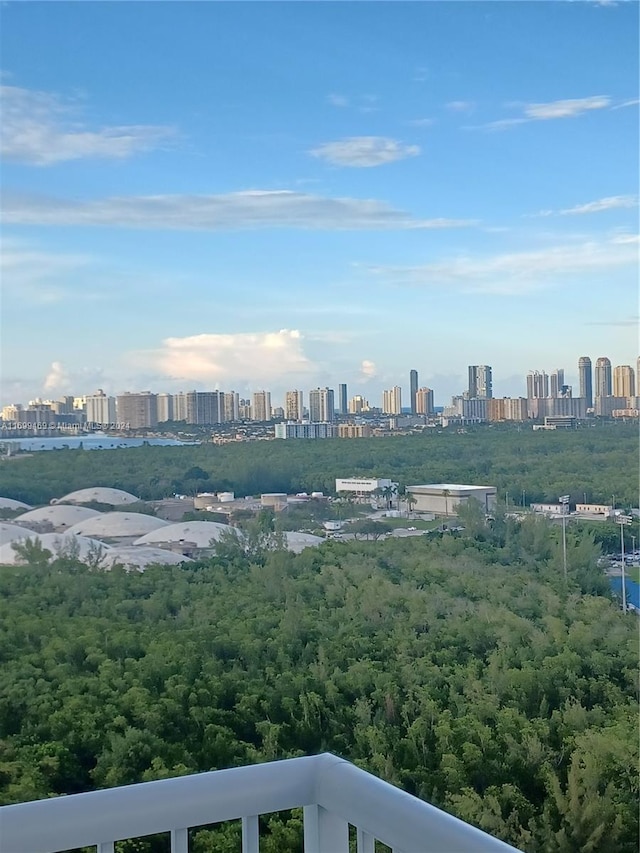 property's view of city