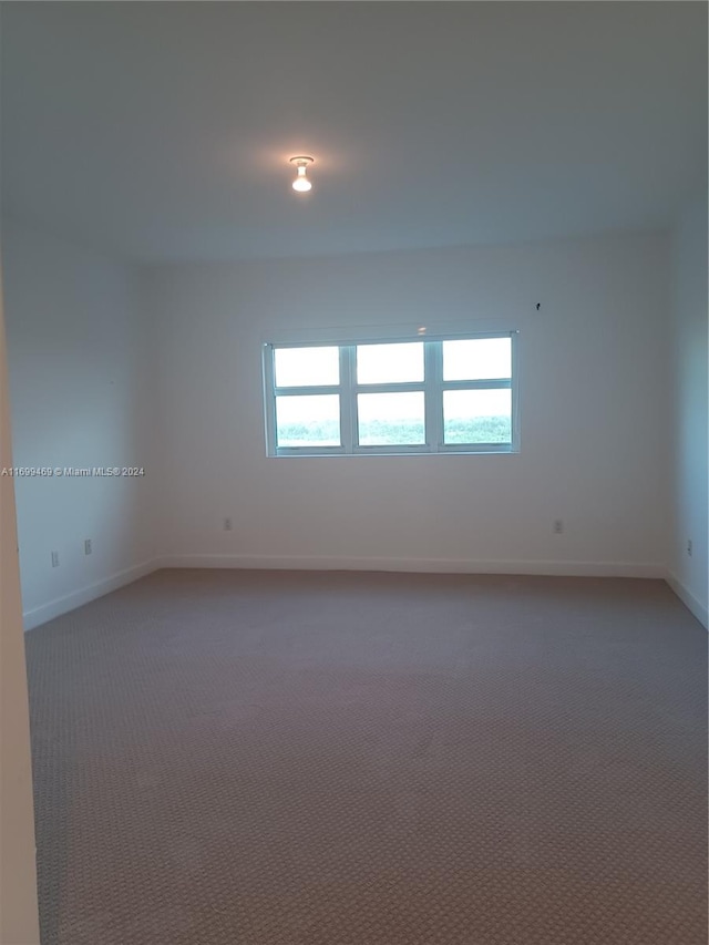 unfurnished room with carpet flooring