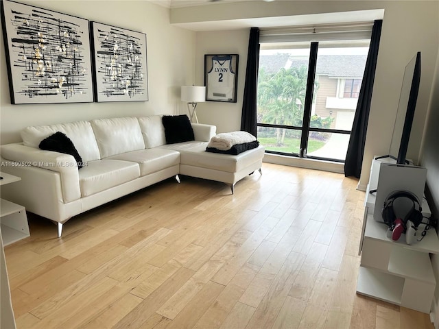 living room featuring light hardwood / wood-style floors