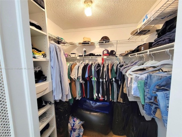 view of spacious closet