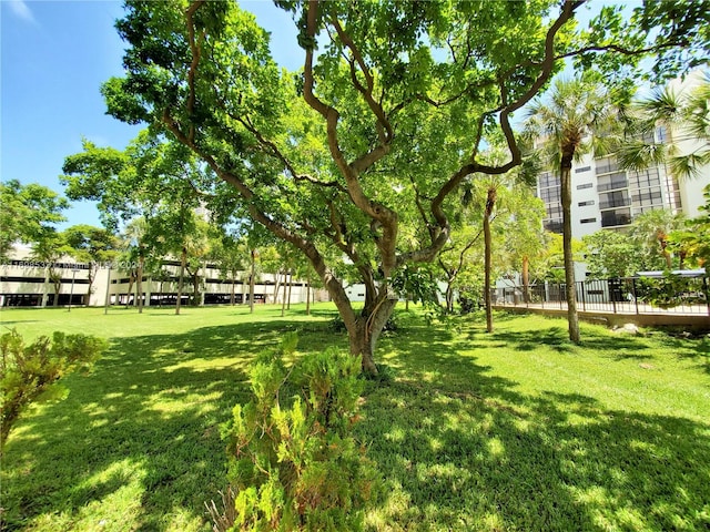 view of property's community with a yard