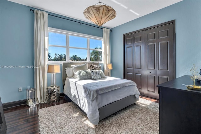 bedroom featuring a closet and dark wood-type flooring