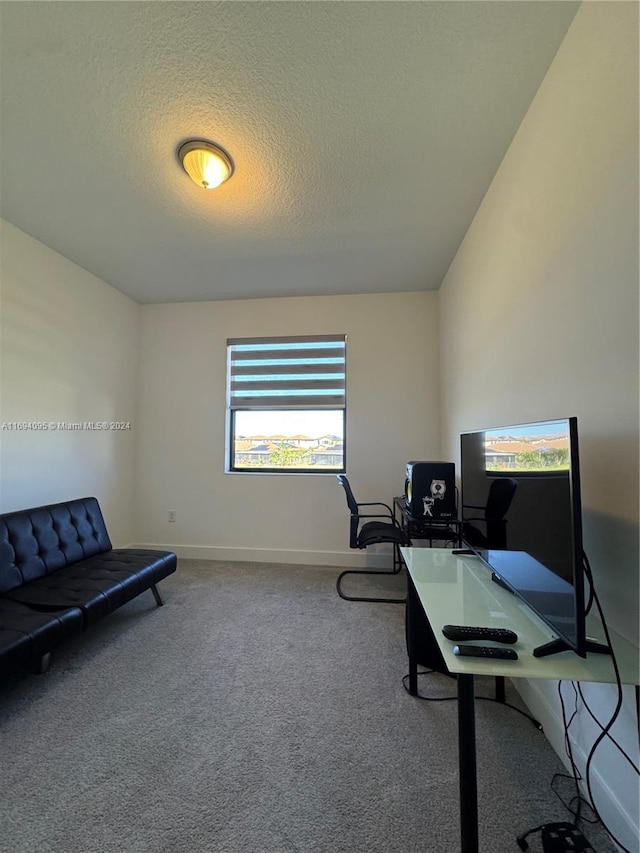 office with carpet floors and a textured ceiling