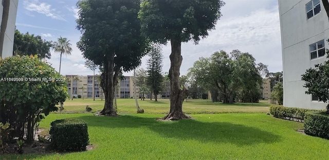 view of home's community with a lawn