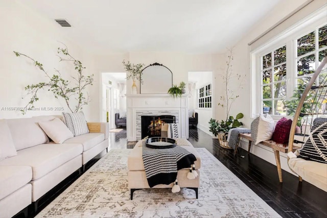 living room featuring wood-type flooring