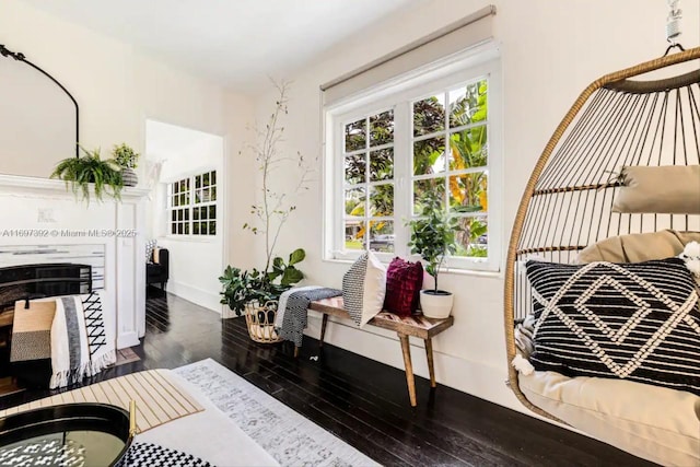 sitting room featuring dark hardwood / wood-style flooring