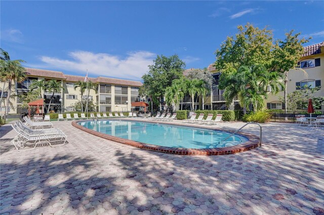 view of pool featuring a patio area