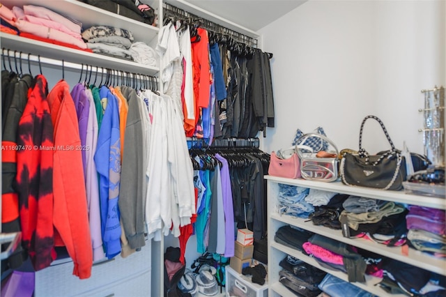 view of walk in closet