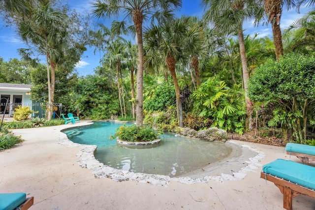 view of pool with a patio