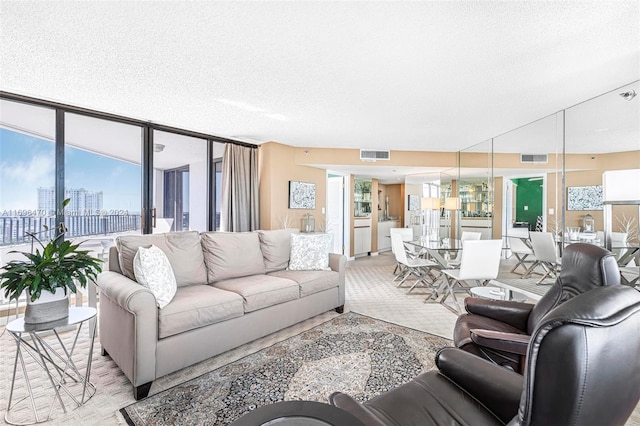 living room featuring a textured ceiling and a healthy amount of sunlight