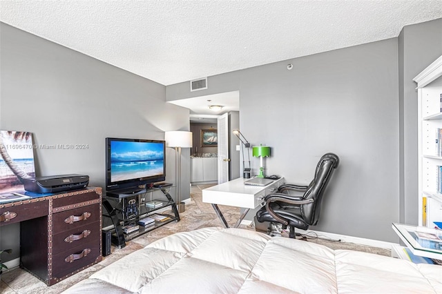 office with light colored carpet and a textured ceiling