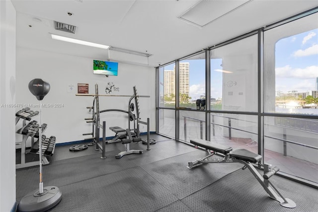 workout area with plenty of natural light and a wall of windows