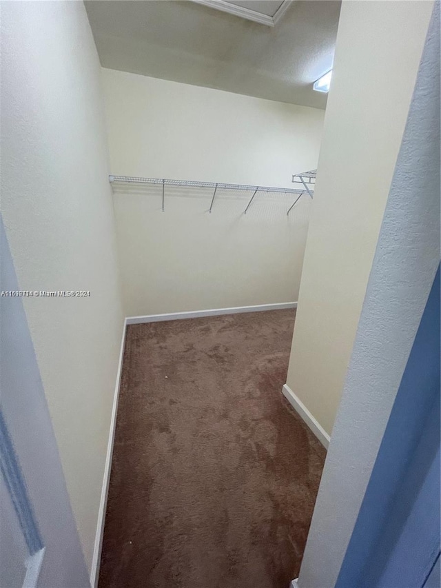 walk in closet featuring dark colored carpet