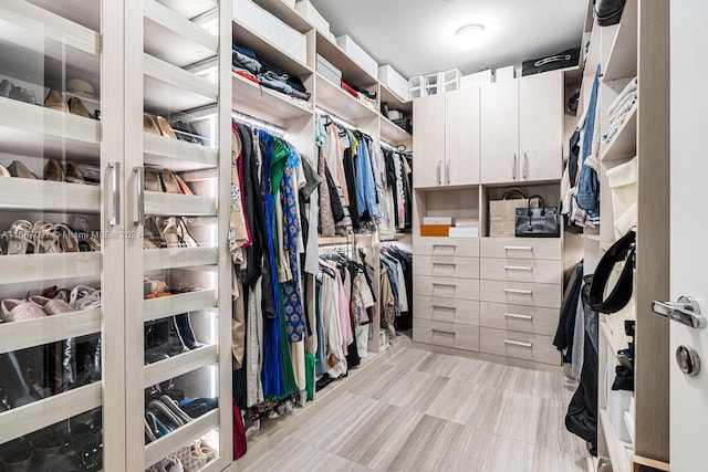 view of walk in closet