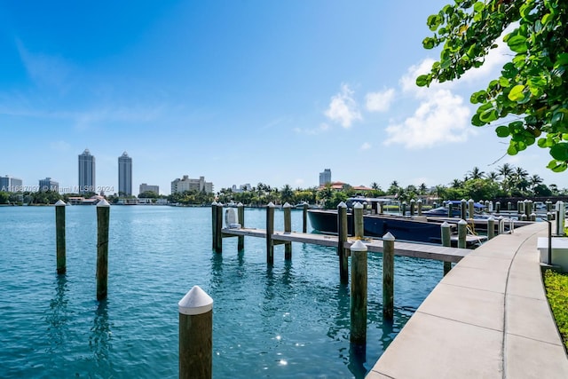 dock area with a water view