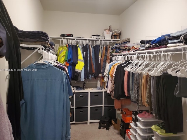 walk in closet featuring light carpet