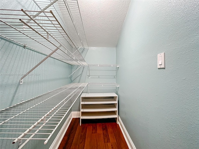 walk in closet featuring dark hardwood / wood-style flooring