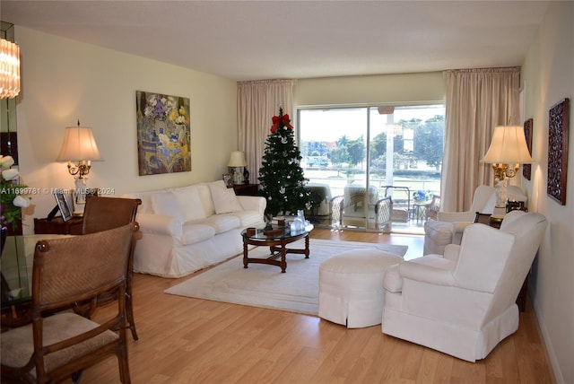 living room with wood-type flooring