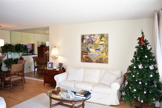 living room with light wood-type flooring and a textured ceiling