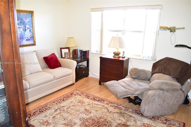 living room featuring light hardwood / wood-style flooring