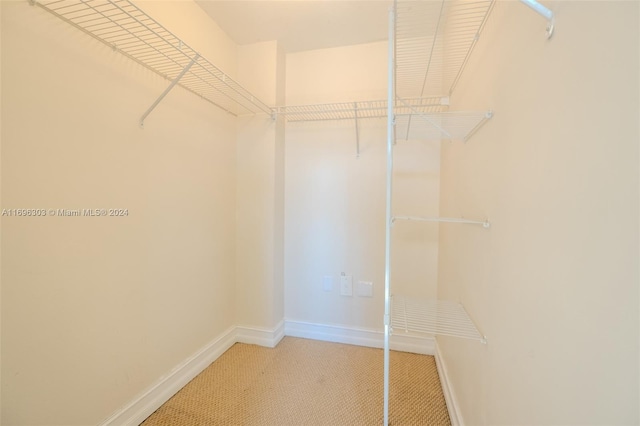 walk in closet with carpet