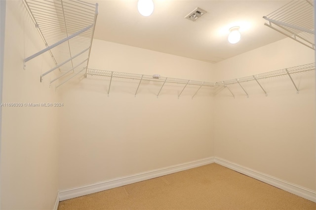 walk in closet with carpet floors