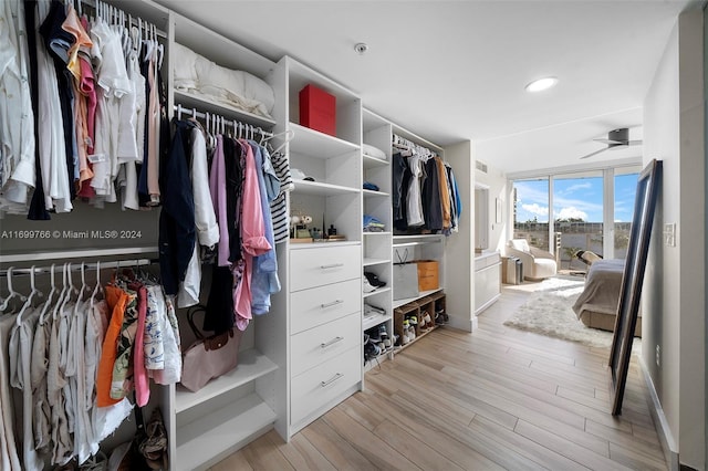 spacious closet with ceiling fan and light hardwood / wood-style floors