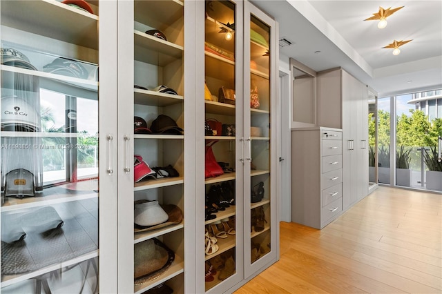 spacious closet with light wood-type flooring