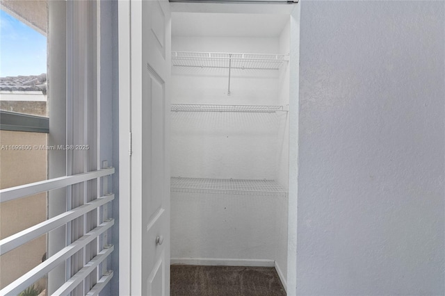 walk in closet featuring carpet