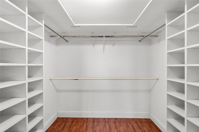 spacious closet featuring dark wood-type flooring