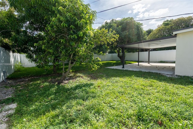 view of yard featuring a patio area