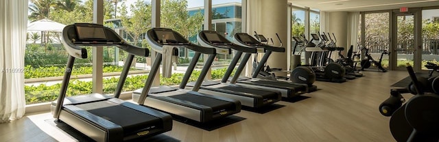 exercise room featuring light hardwood / wood-style flooring