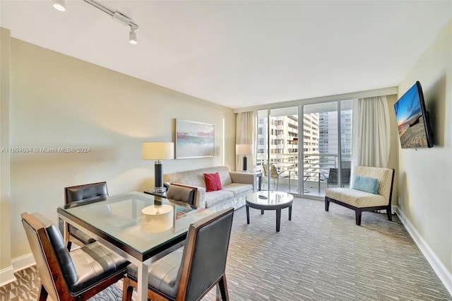 carpeted living room featuring track lighting