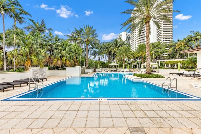 view of swimming pool with a patio