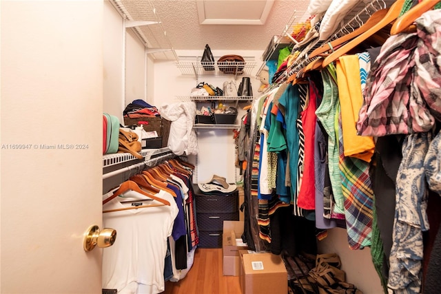 walk in closet with hardwood / wood-style floors