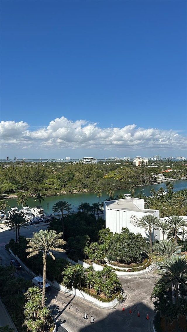 aerial view with a water view