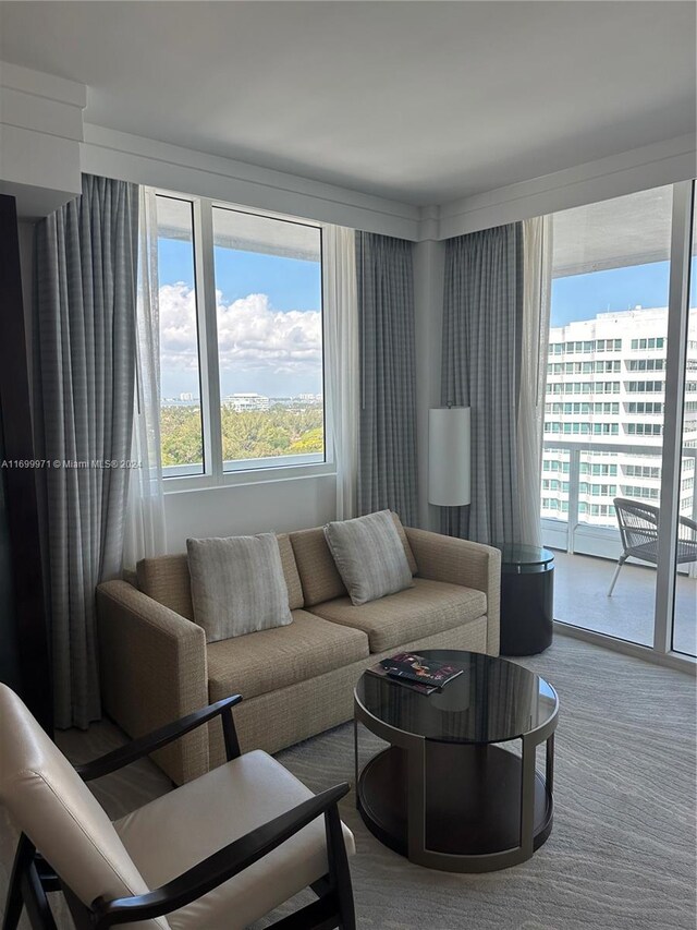 view of carpeted living room