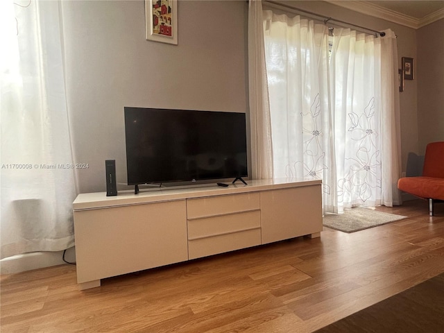 living room with light hardwood / wood-style floors, ornamental molding, and a healthy amount of sunlight