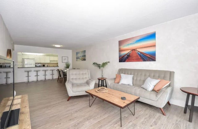 living room featuring light wood-type flooring