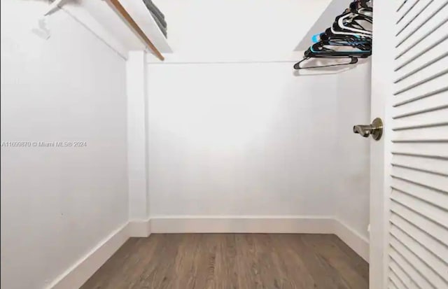 spacious closet with dark hardwood / wood-style floors