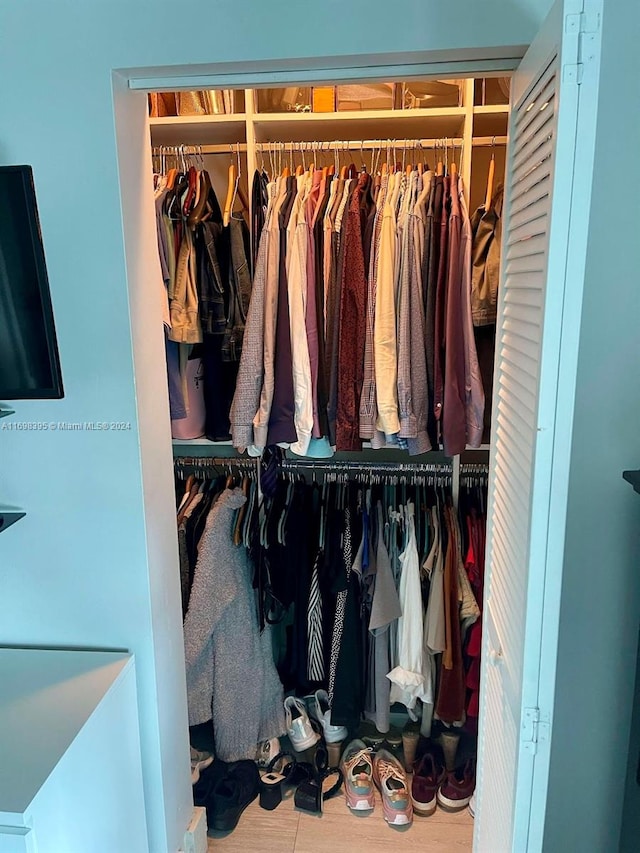 view of closet